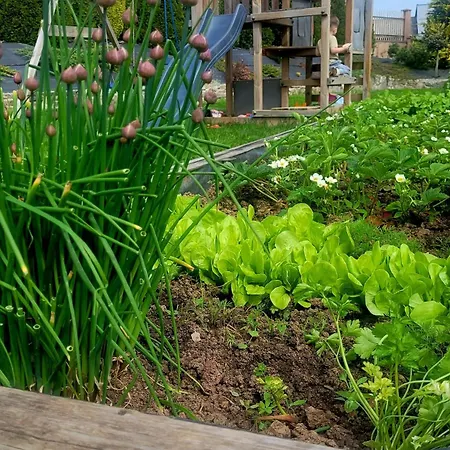 Apartamento Chalupka 3 Krempachy